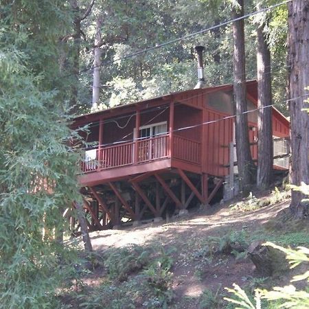 Jayes Timberlane Resort Ben Lomond Exteriör bild