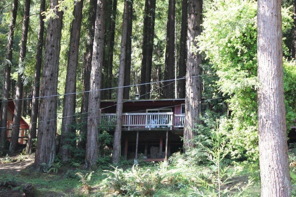 Jayes Timberlane Resort Ben Lomond Exteriör bild